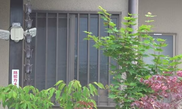 豪邸っぽい家
