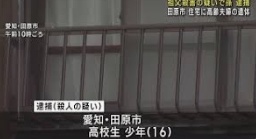 田原市の16歳少年による殺人事件