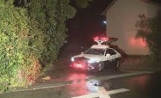田原市の16歳少年による殺人事件